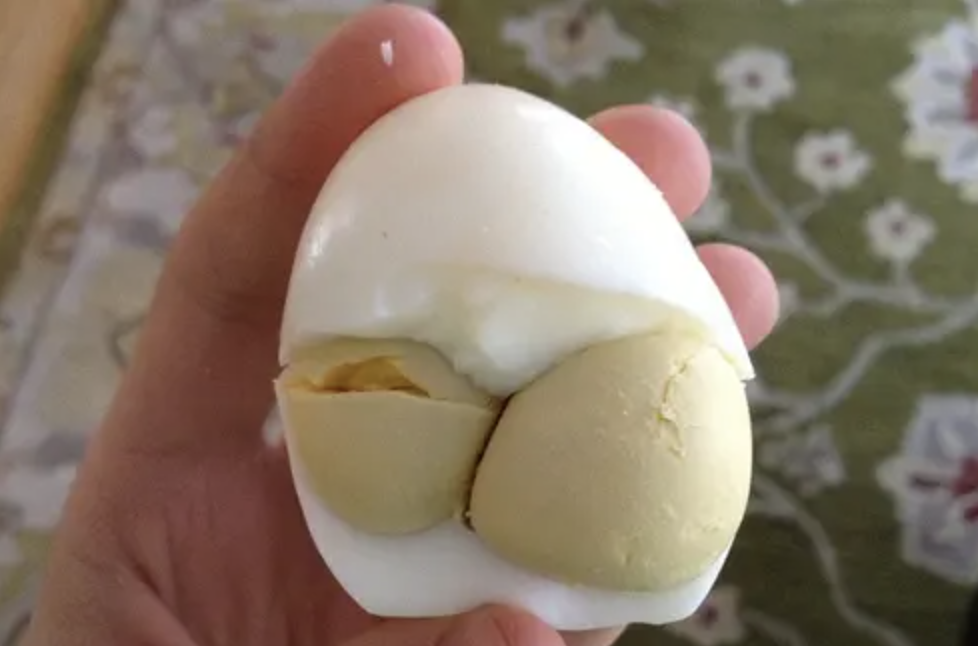 Rectin Image